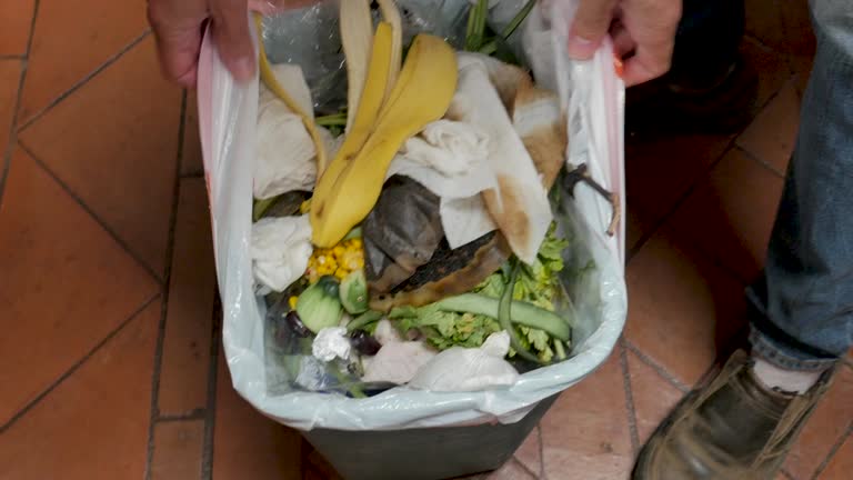 Same-Day Junk Removal Services in Barboursville, WV